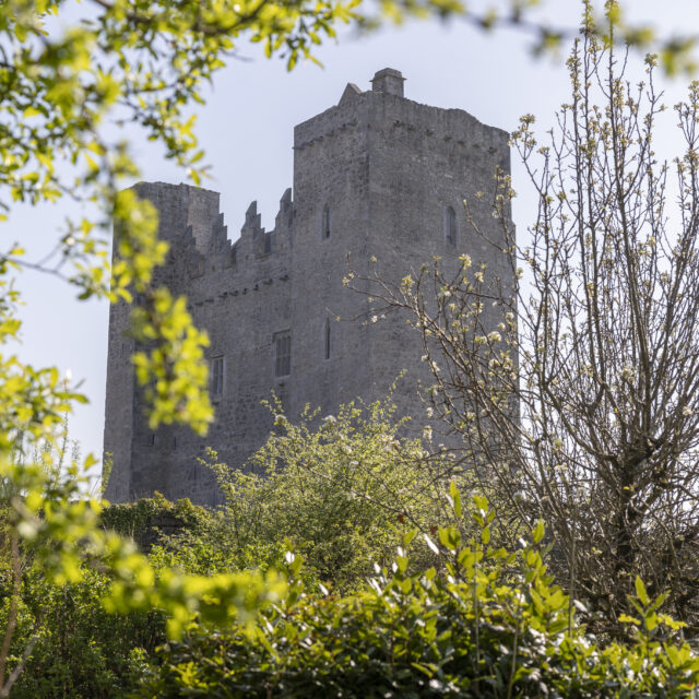 Barryscourt Castle · Castle