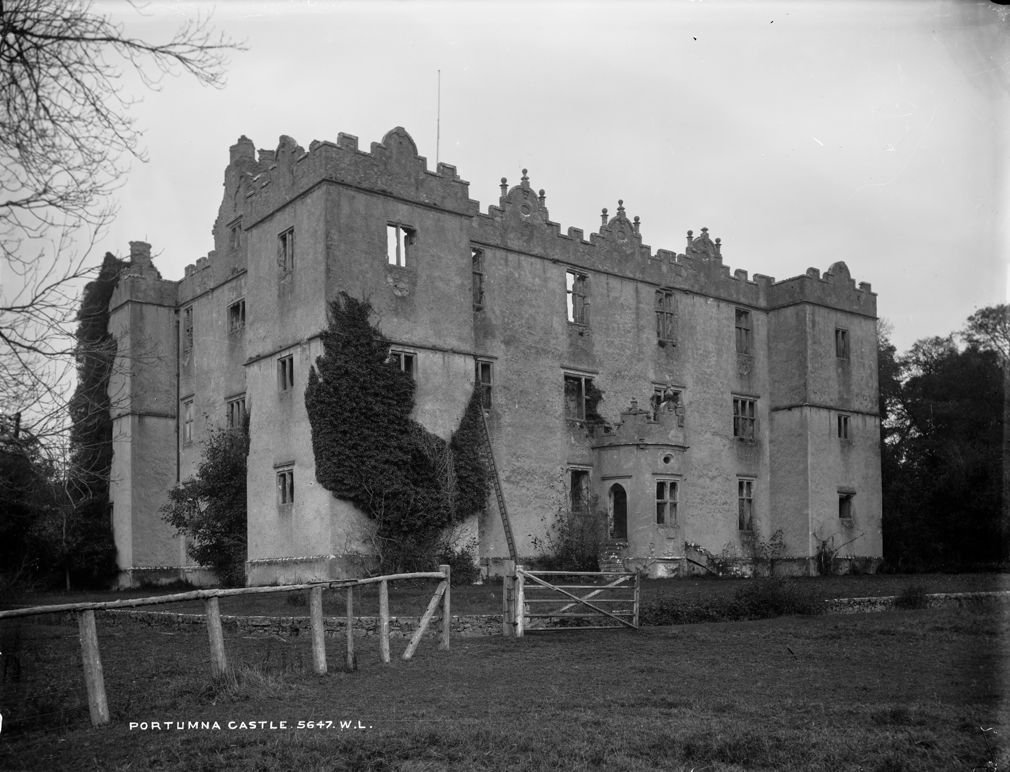 Portumna Castle · Castle