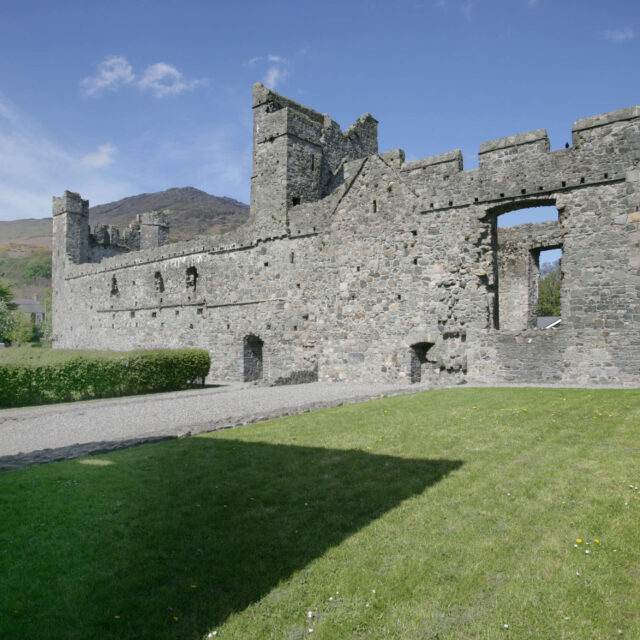 Carlingford Dominican Friary · Religious House