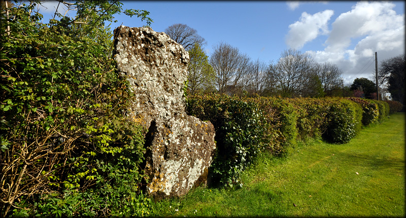 Callahy Standing Stone · Standing Stone