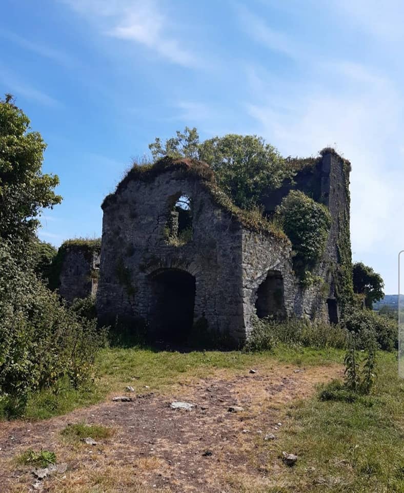 Barnahely Castle · Castle