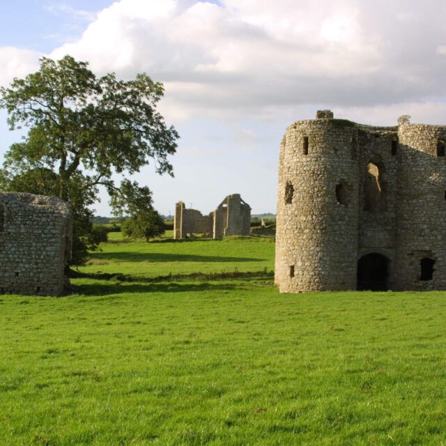 Ballyloughan Castle · Castle