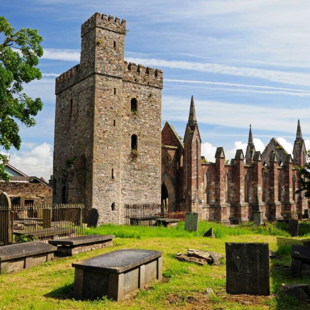 Selskar Augustinian Priory · Religious House