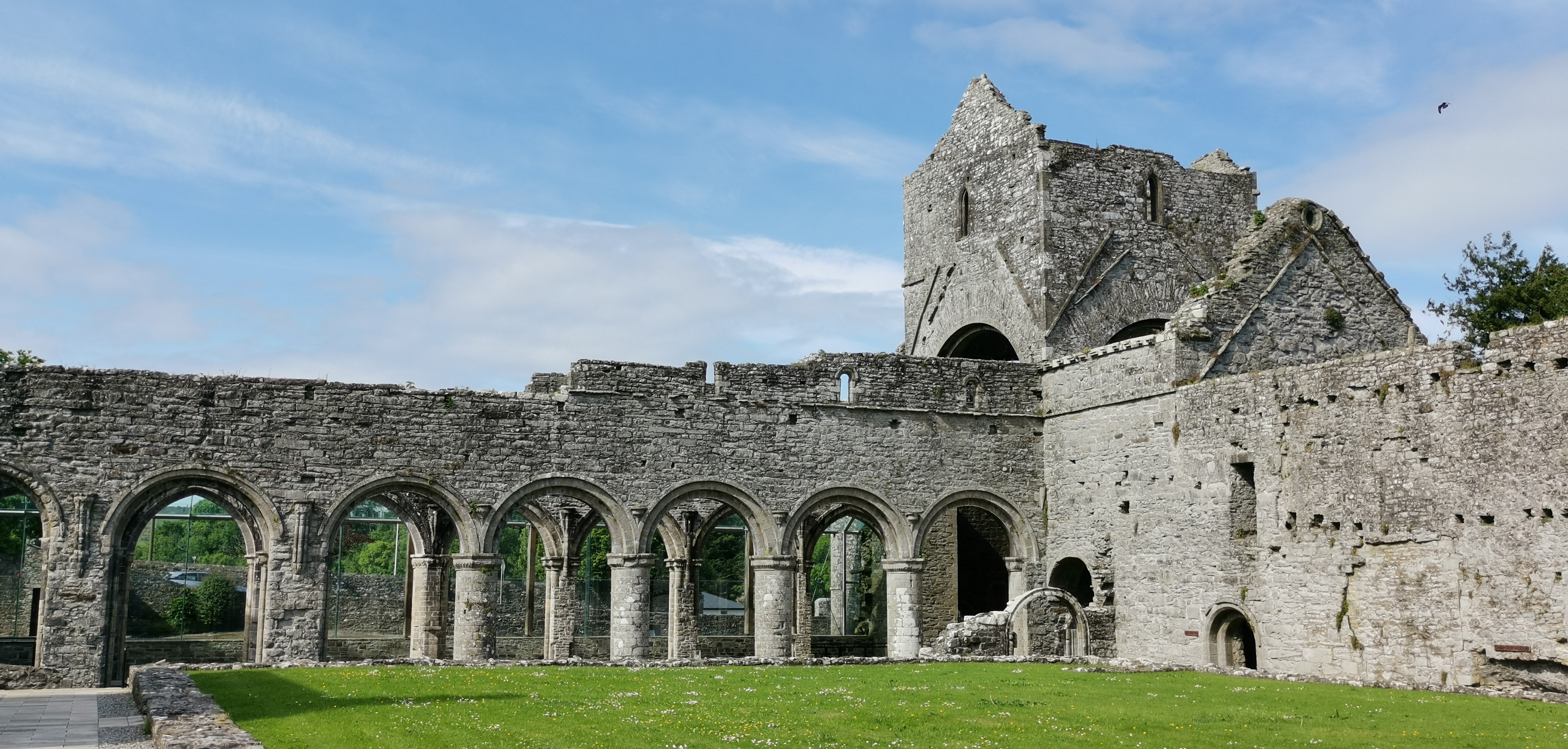Boyle Abbey · Earthwork