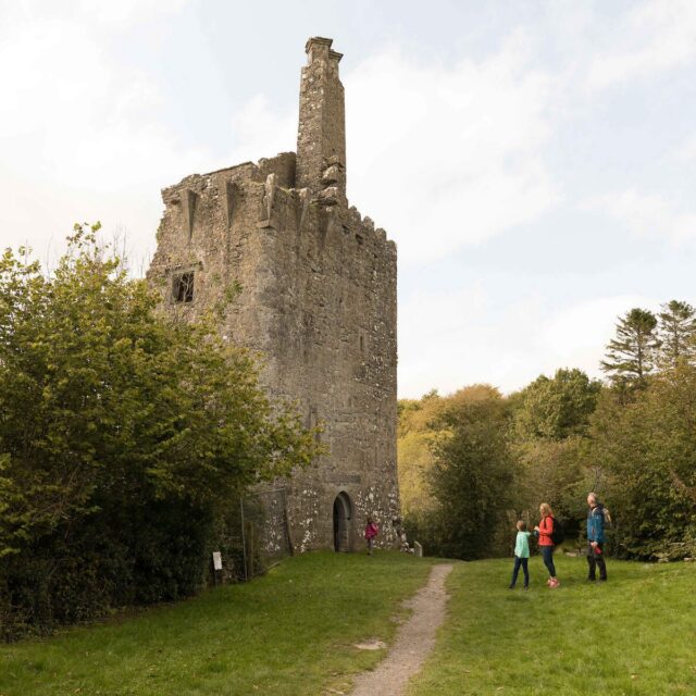Dromore Castle · Castle