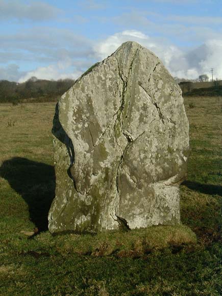 Raheen Standing Stone · Standing Stone