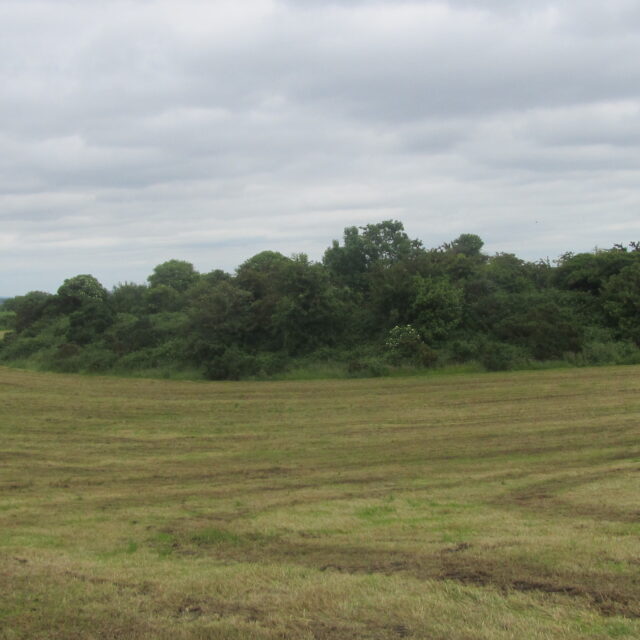 Sonnagh Ringfort · Ringfort