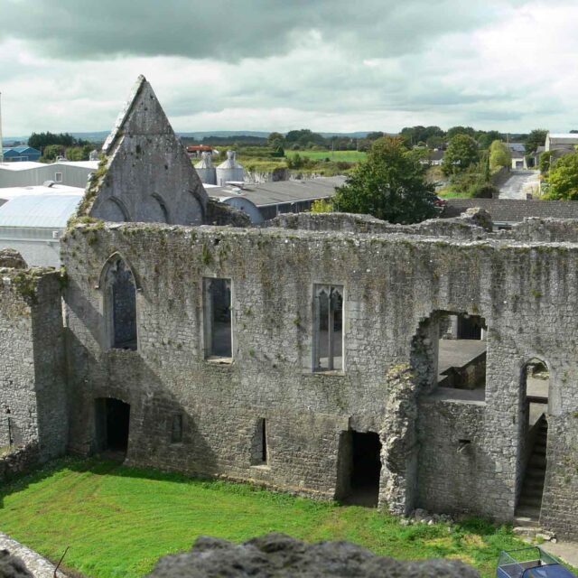 Askeaton Castle · Castle