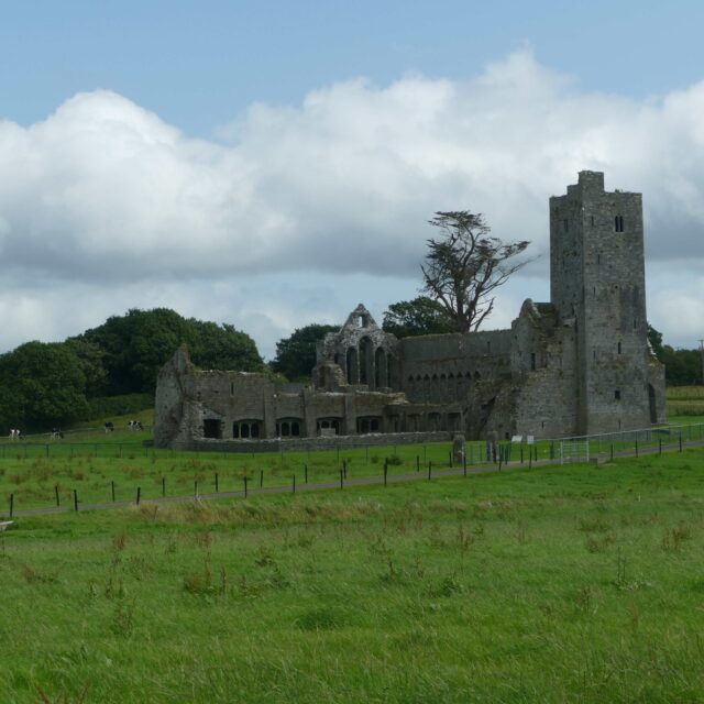 Ardfert Franciscan Friary · Religious House