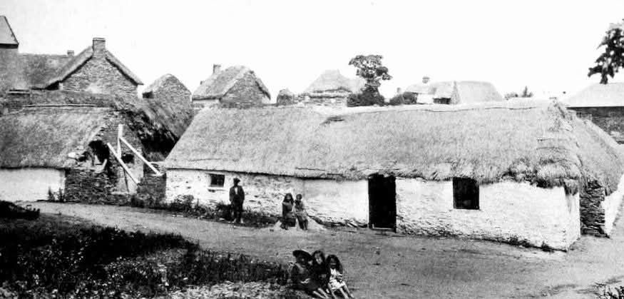 Ráth Naoi · Rathnew