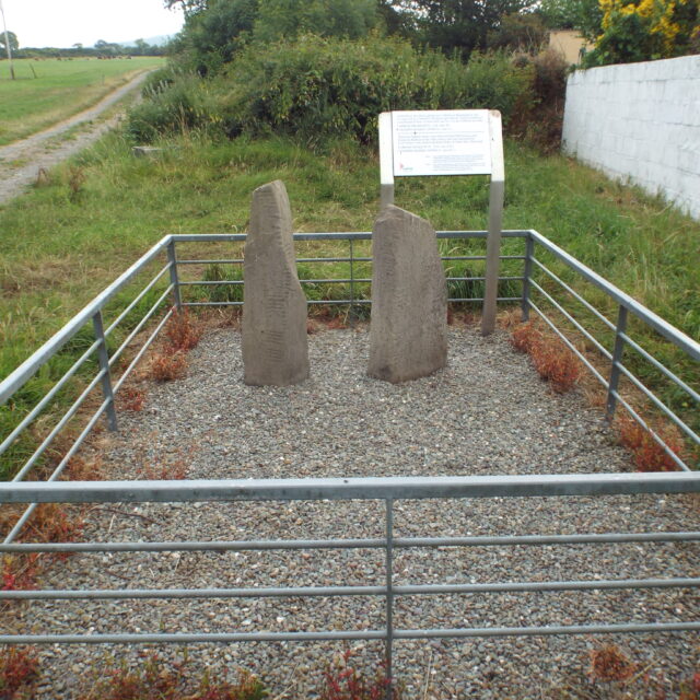 Tullygarran Ogham Stones · Ogham Stone
