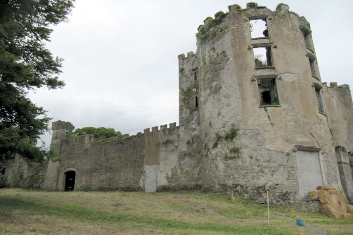 Buttevant Castle · Castle