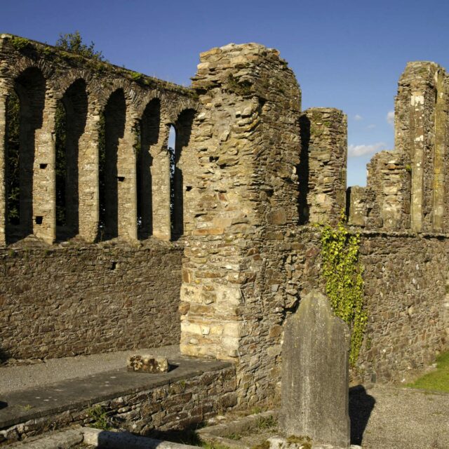 Ferns Church / Cathedral / Crosses / Abbey · Religious House