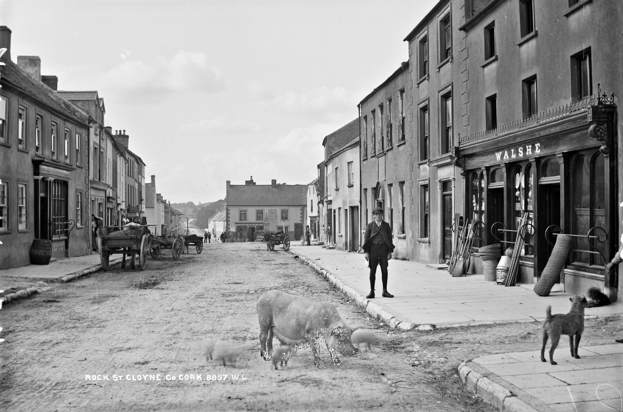 Cluain · Cloyne