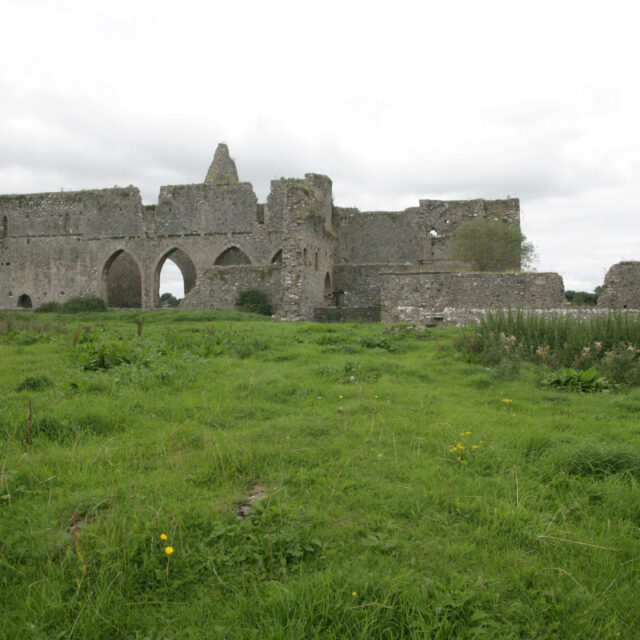 Monasteranenagh Cistercian Abbey · Religious House