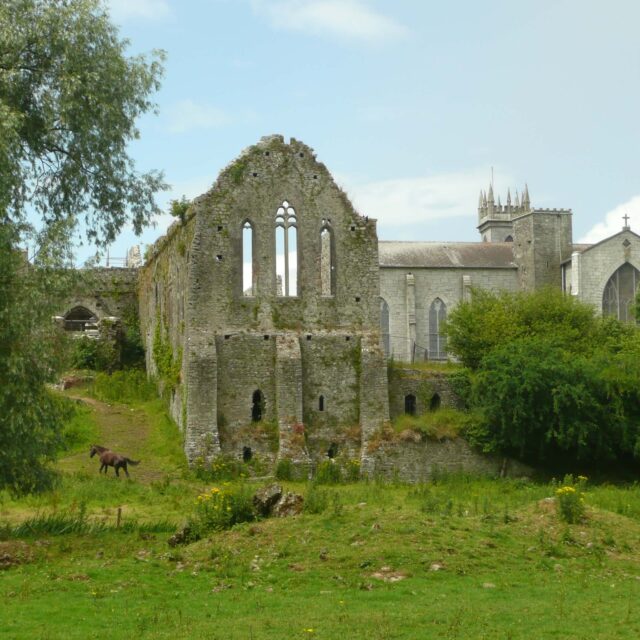 Buttevant Franciscan Friary · Religious House