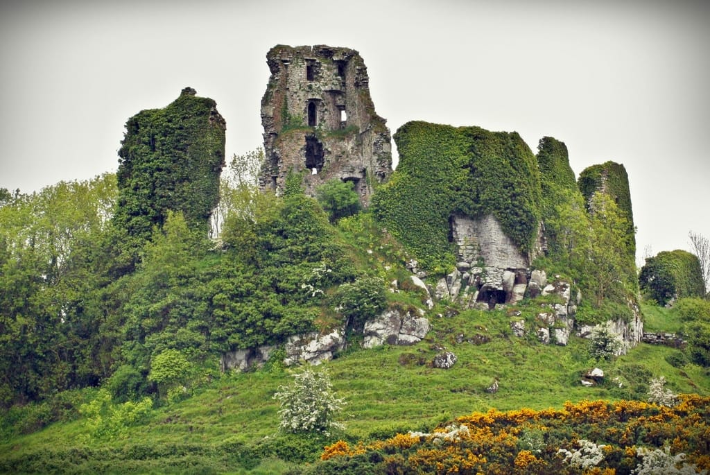 Carrigogunnell Castle · Castle