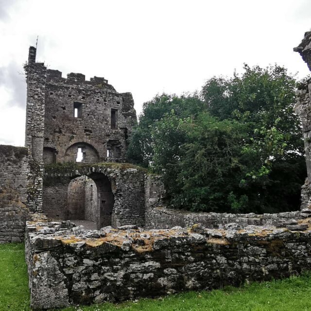 Castlelyons Carmelite Priory · Religious House
