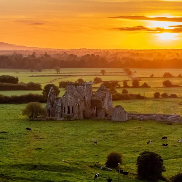 Hore Cistercian Abbey · Religious House