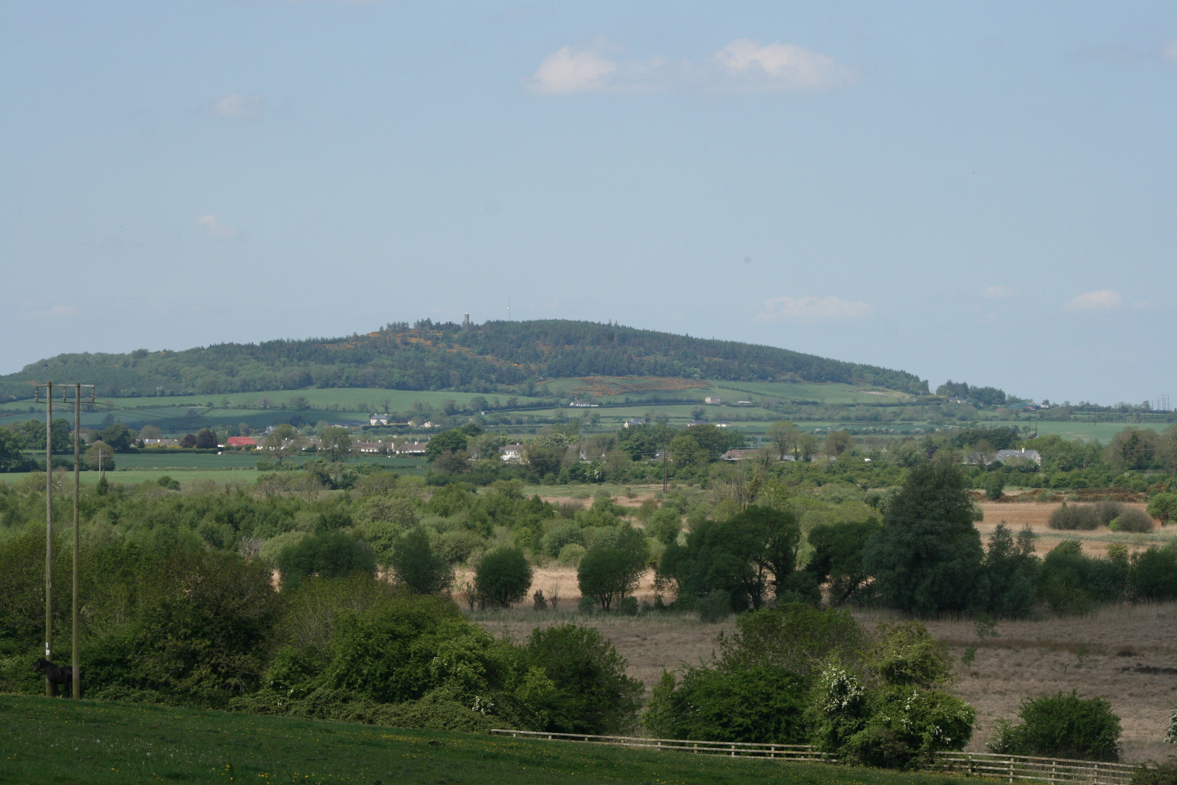 Hill of Allen · Fort