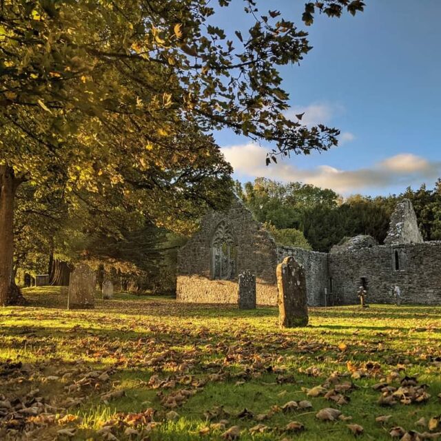 Portumna Dominican Friary · Religious House
