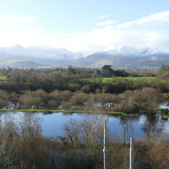 Ballymalis Castle · Castle