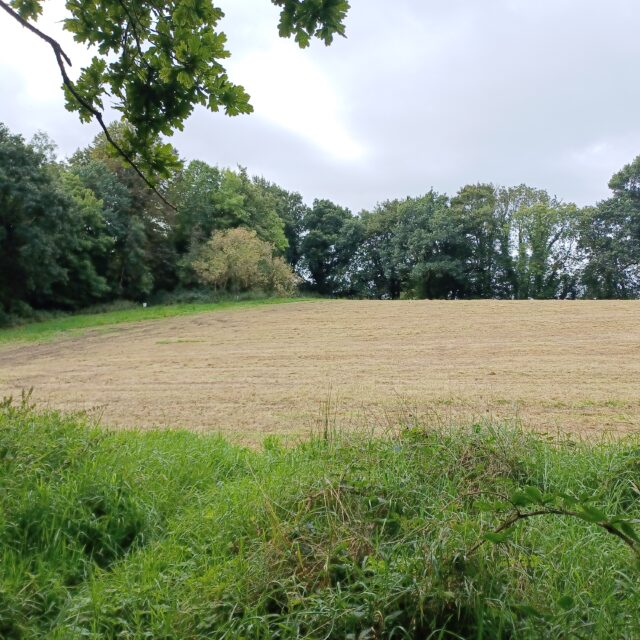 Errigal Ringfort · Ringfort