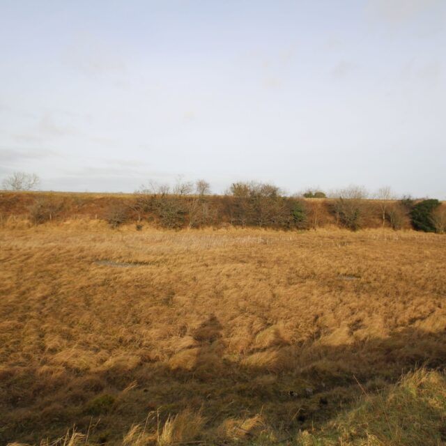 Kilcornan Settlement · Habitation Site
